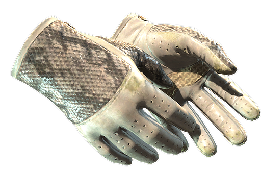 ★ Driver Gloves | King Snake